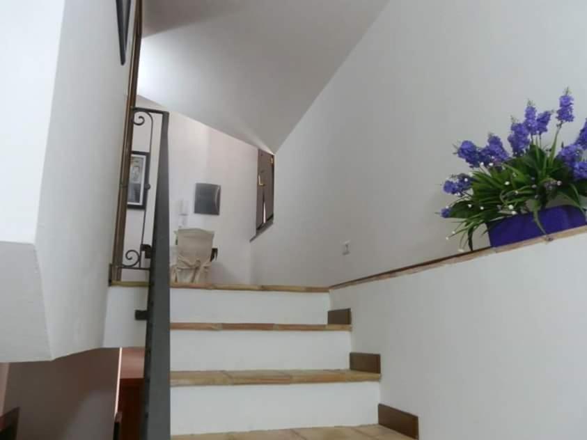 Agriturismo Ai Monaci Montano Antilia Экстерьер фото
